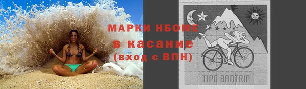 ГАЛЛЮЦИНОГЕННЫЕ ГРИБЫ Михайлов
