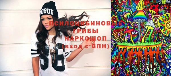 ГАЛЛЮЦИНОГЕННЫЕ ГРИБЫ Михайлов