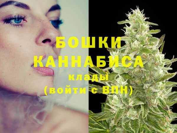 ГАЛЛЮЦИНОГЕННЫЕ ГРИБЫ Михайлов